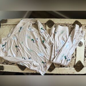Beige 3T Bamboo Pajama Set with Duck and Goose/water fowl Print